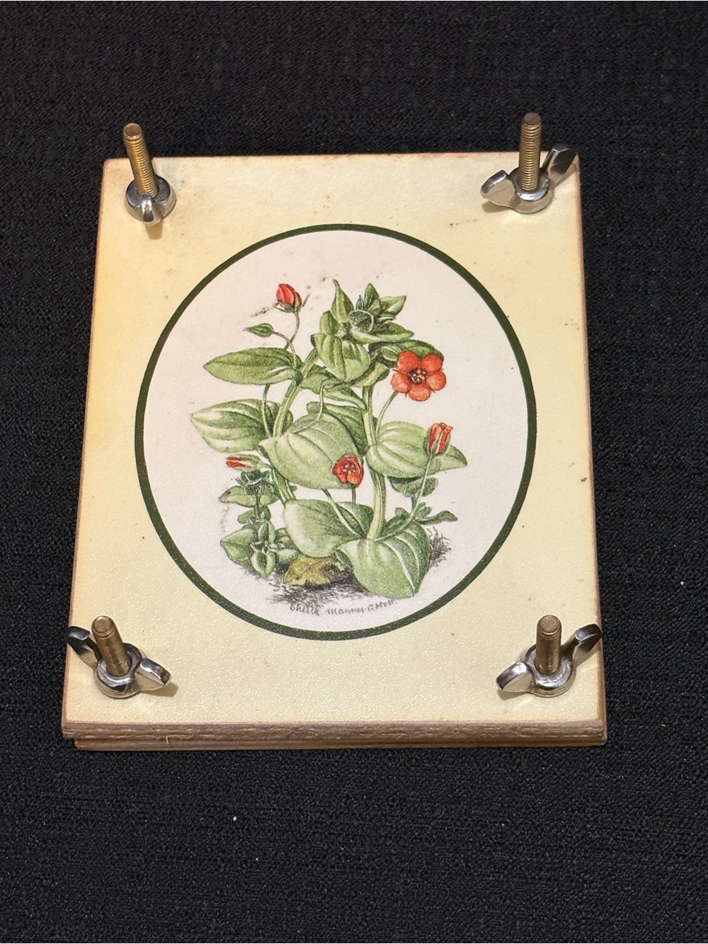 Vintage orcharo flower press made in England